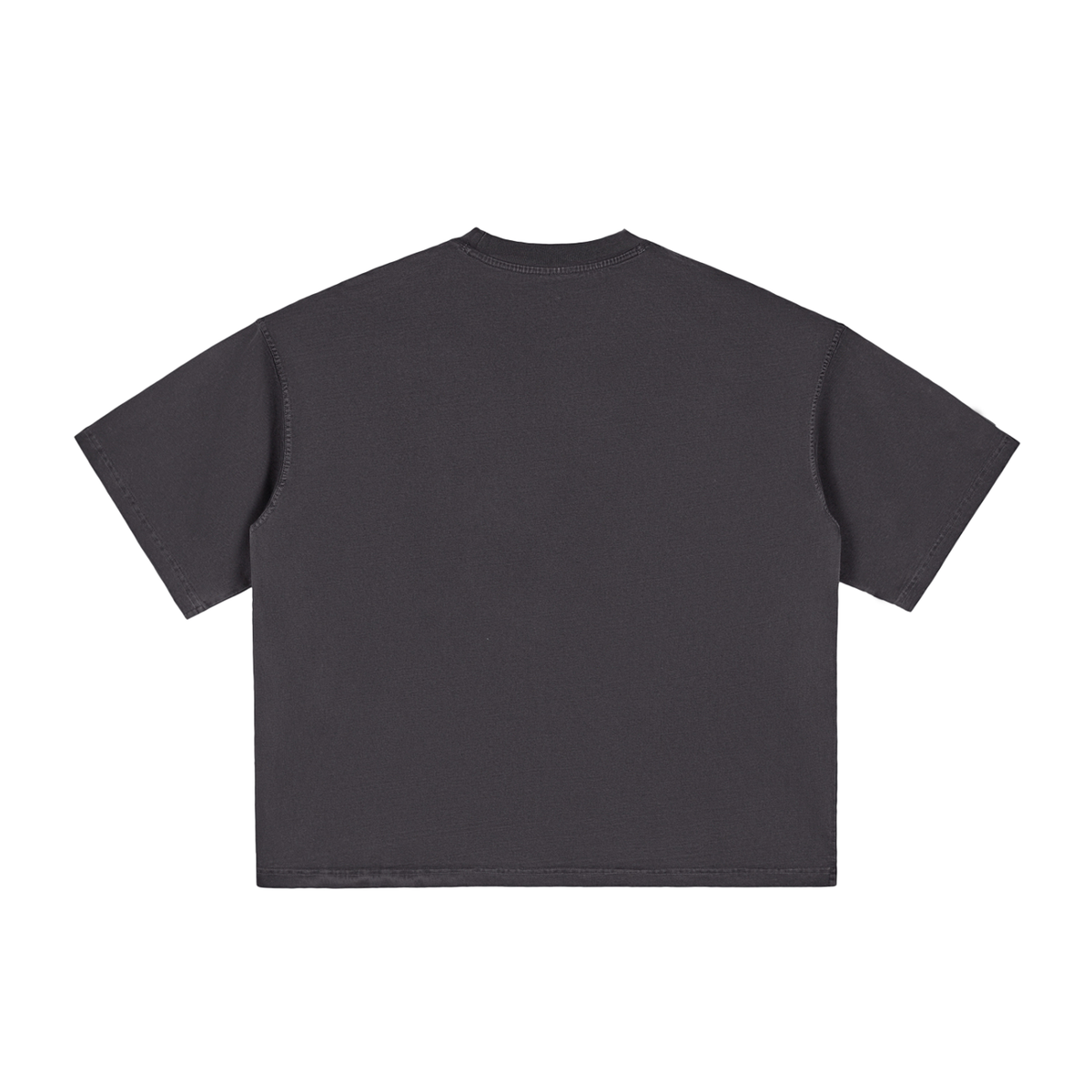Richmond District SF Vintage Washed Boxy T-Shirt