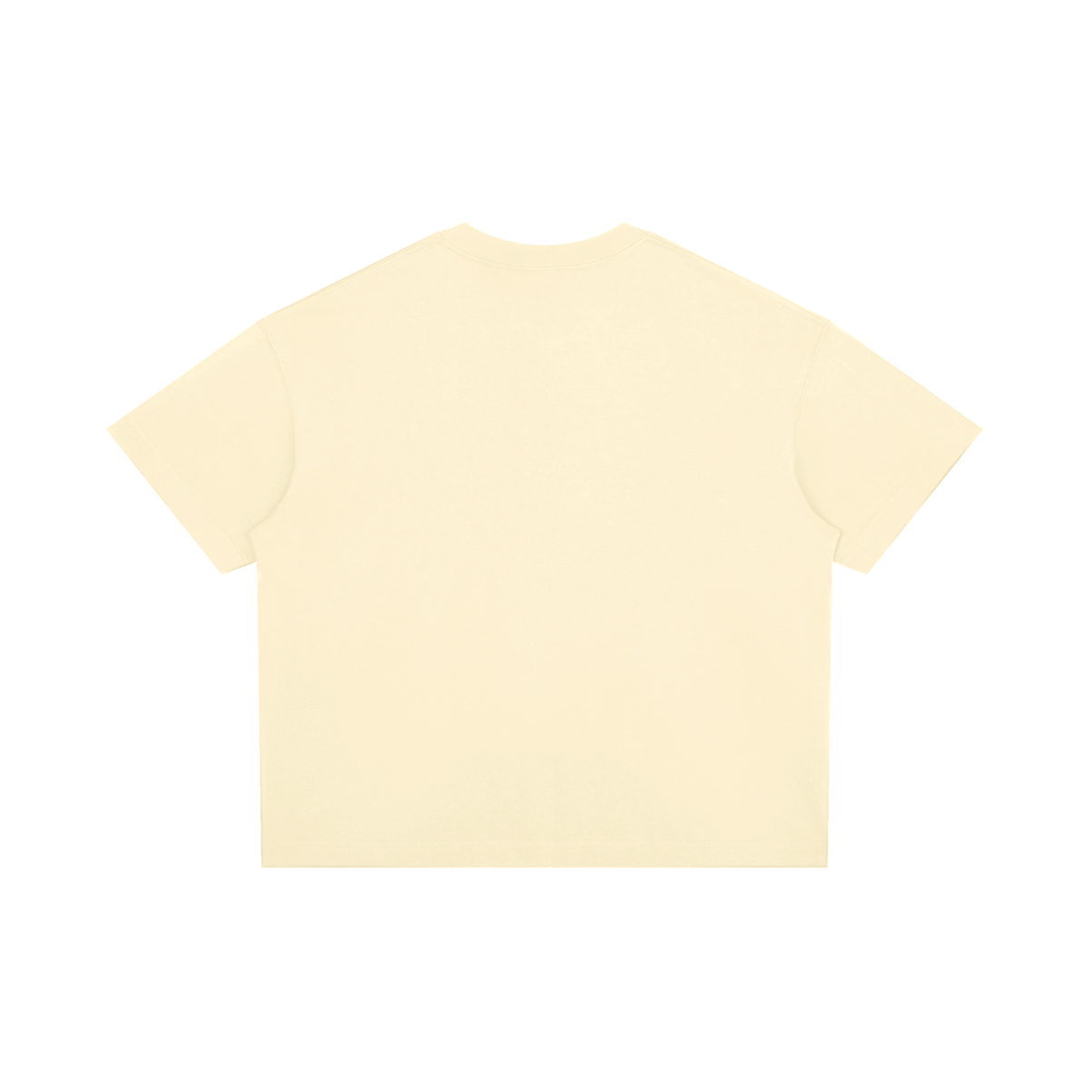 San Francisco Unisex Boxy Drop Shoulder T-Shirt
